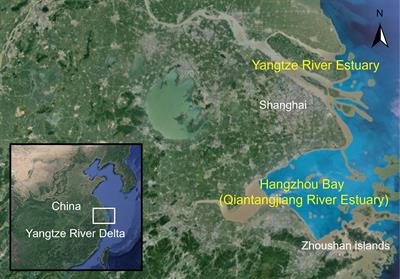 An investigation on the effects of increasing maximum wind speed of tropical cyclones on the return periods of water levels in the sea area of the Yangtze River Delta